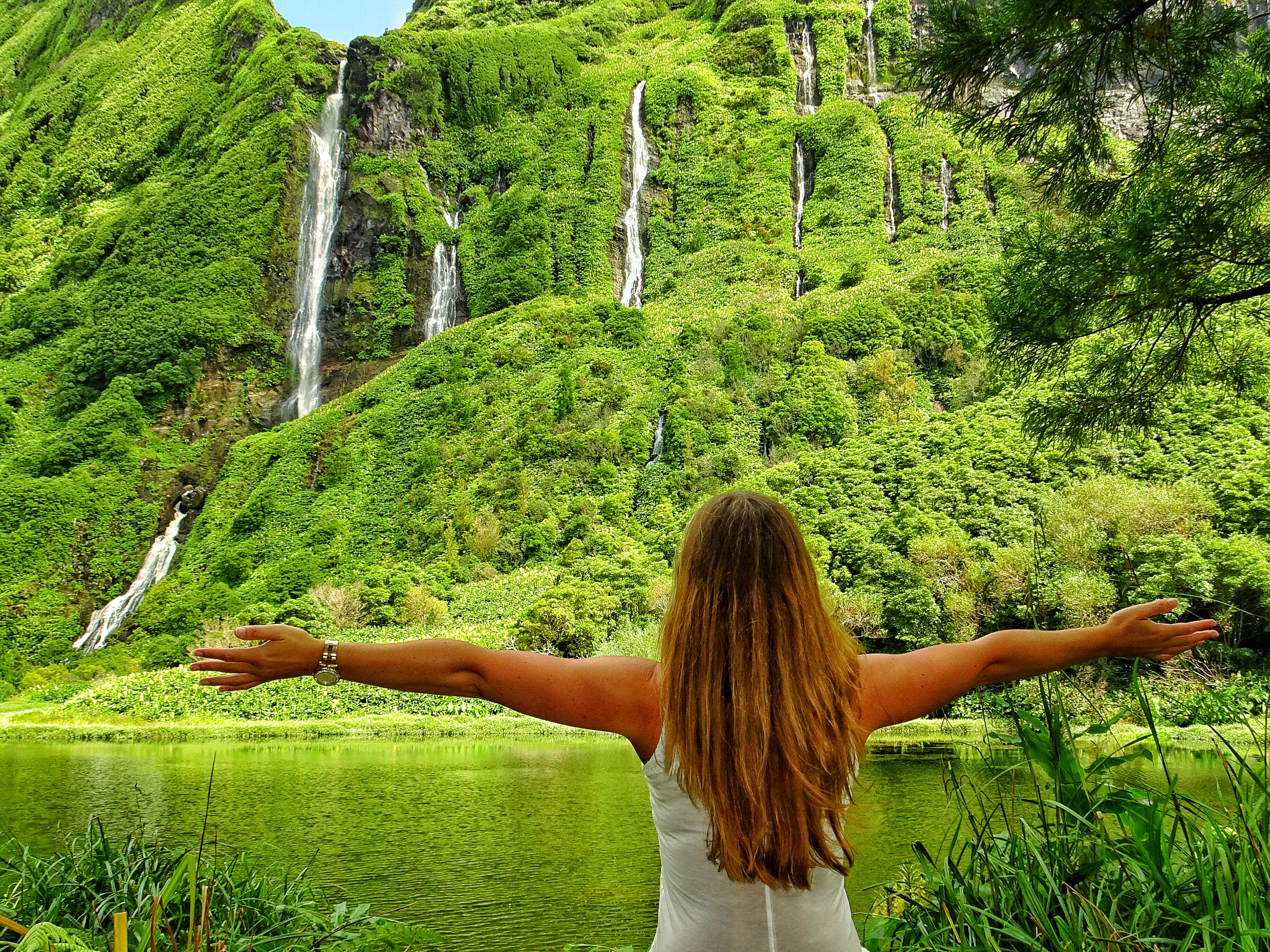 must visit places Flores Azores Chicago Website Design SEO Company